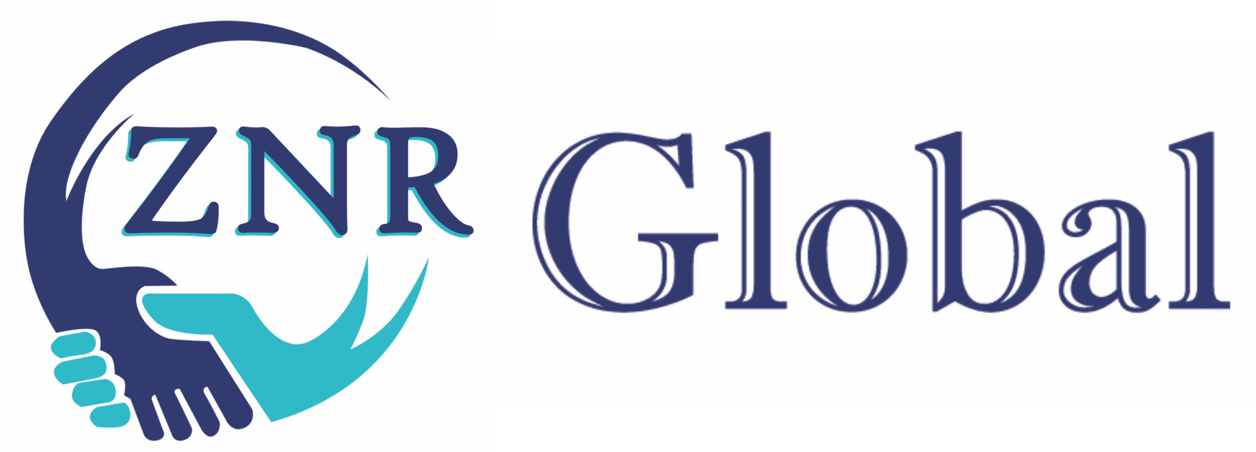 znrglobal.com